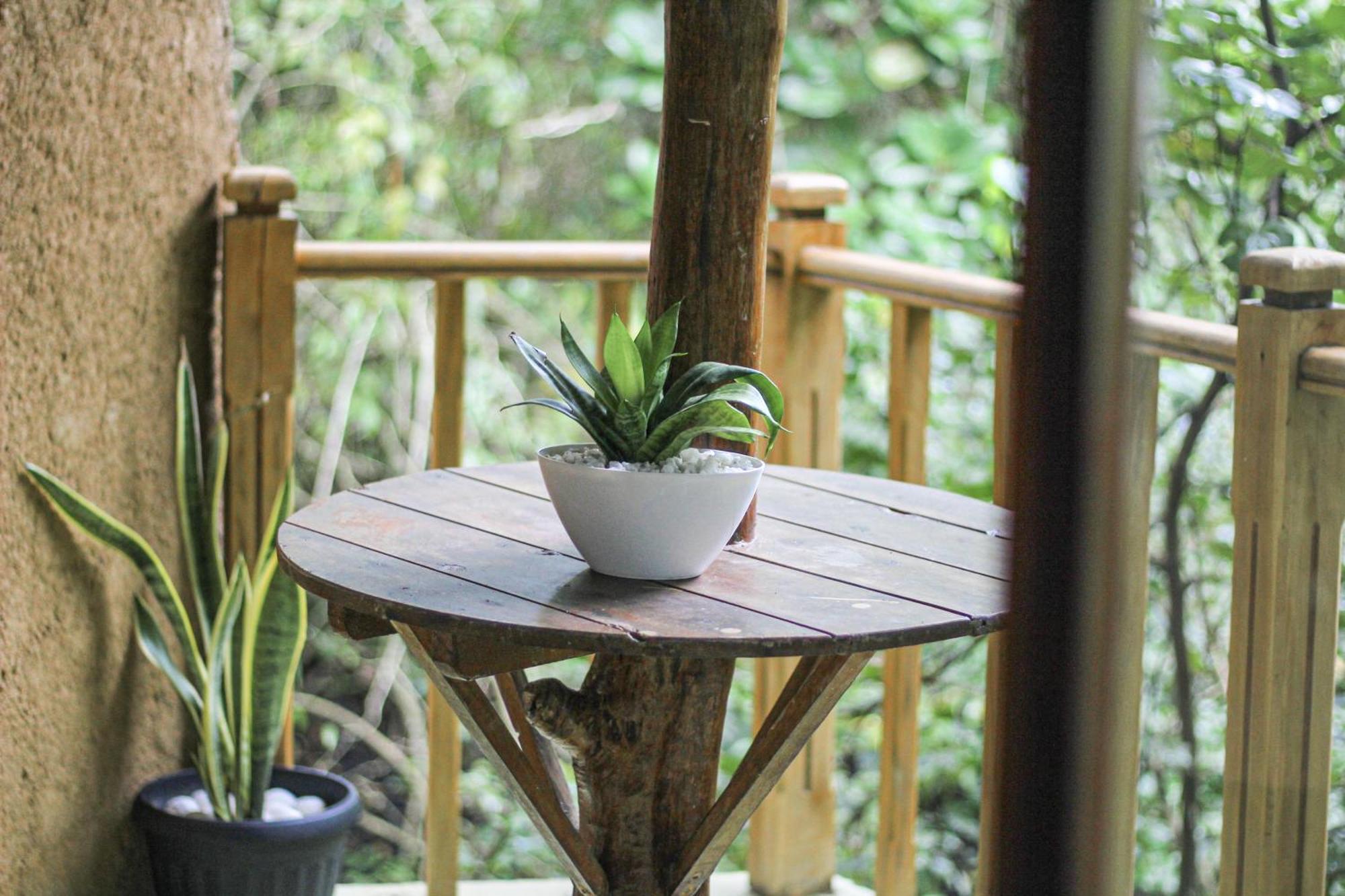 Seasons Four Eco Friendly Treehouse Guest House Matara Exterior photo