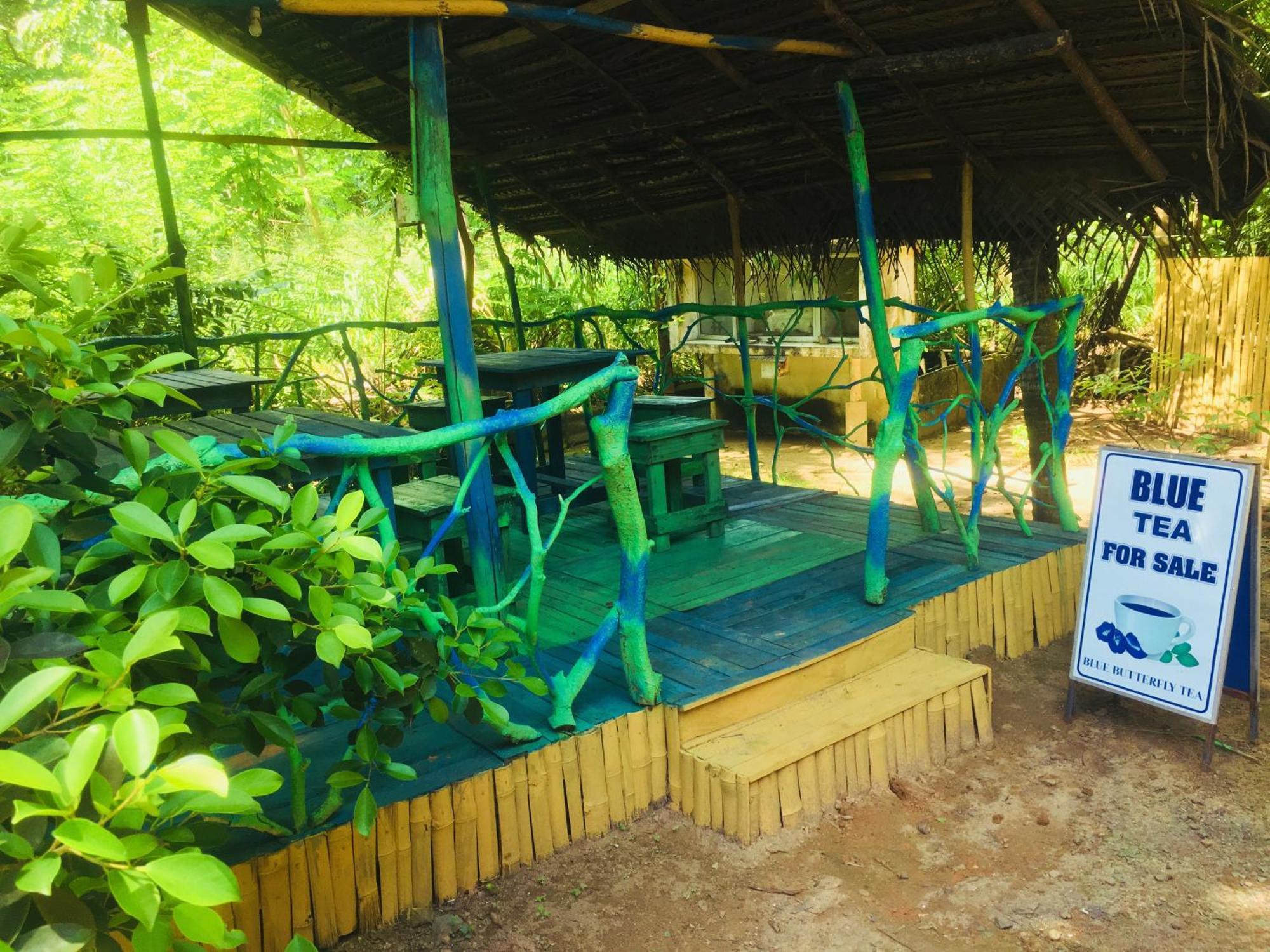 Seasons Four Eco Friendly Treehouse Guest House Matara Exterior photo